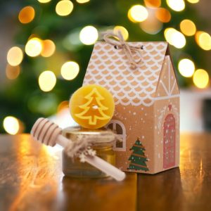 Weihnachtshaus mit Honig & Kerze