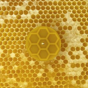 Teelicht – Kerze aus Bienenwachs