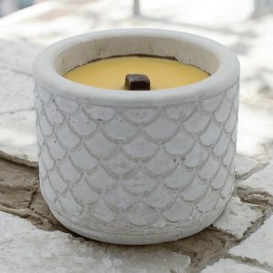 Dauerfeuer "Wachsfresser"